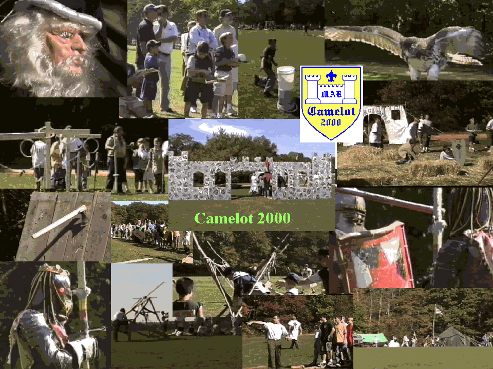Collage 1